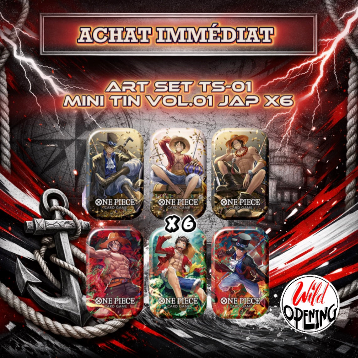 TS-01 Mini Tin vol.1 for asia / Art Set(x6) – WildOpening